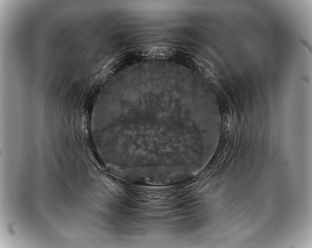 X0000097300663200802151440