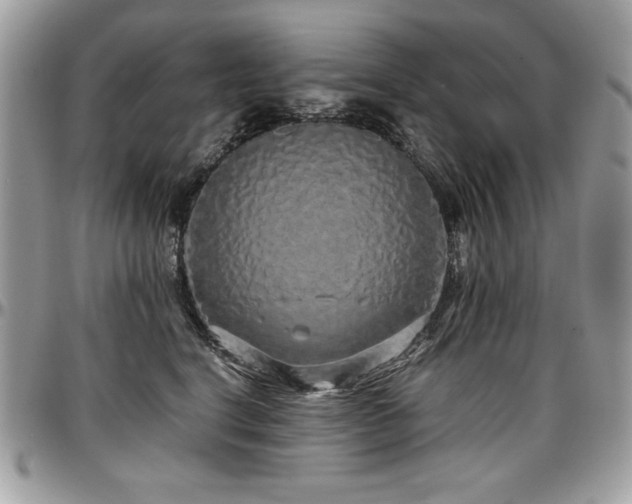 X0000097300664200802151440