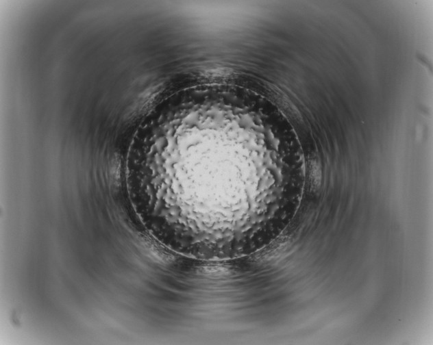 X0000097300668200802151440