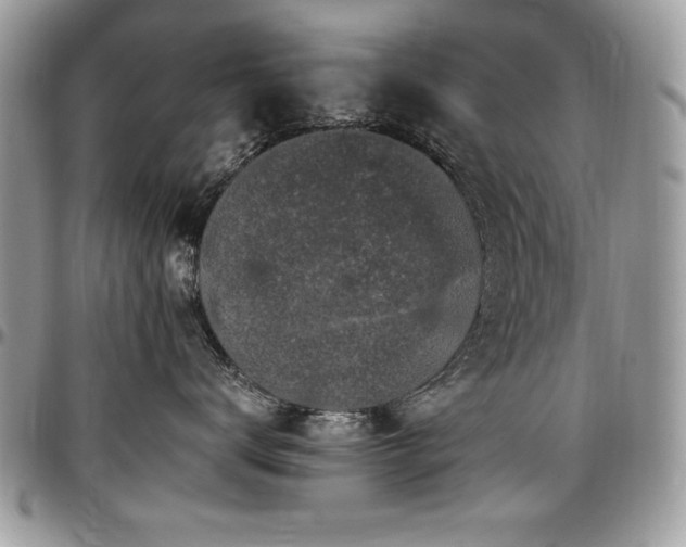 X0000097300672200802151440