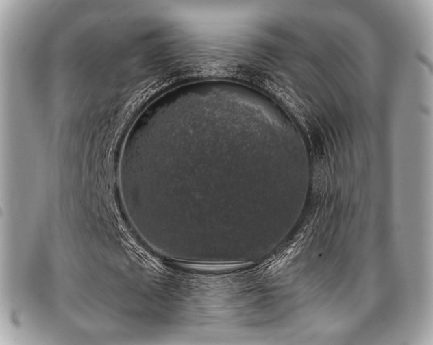 X0000097300673200802151439