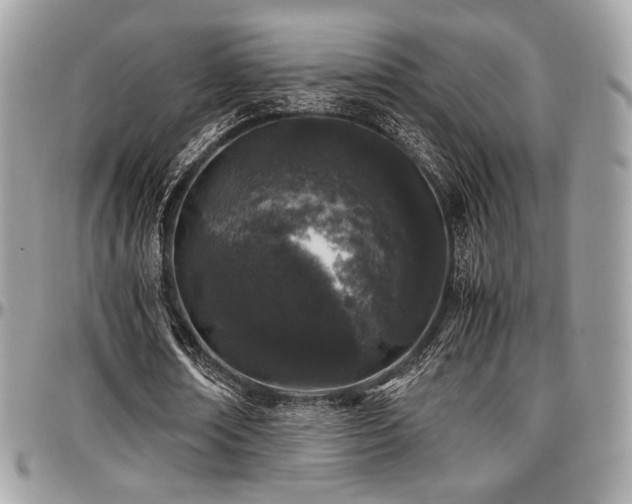 X0000097300674200802151439