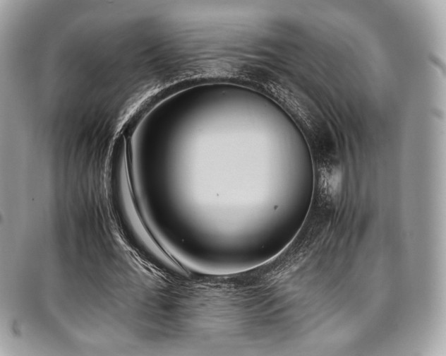 X0000097300676200802151439