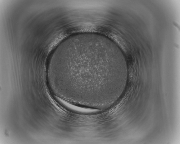 X0000097300677200802151439