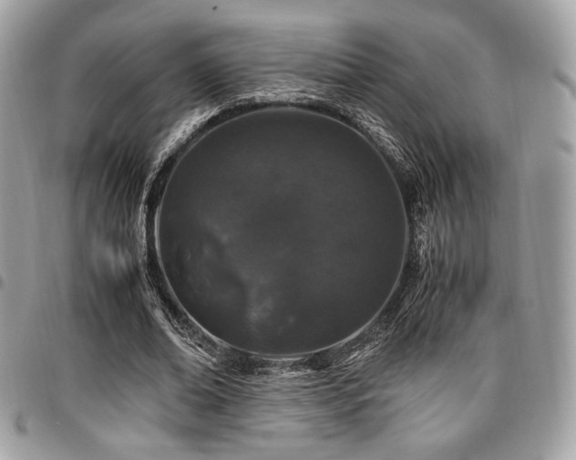 X0000097300678200802151439