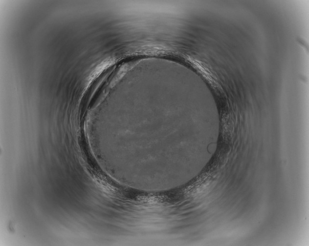 X0000097300679200802151439