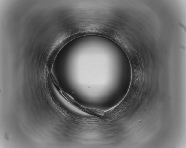 X0000097300680200802151439