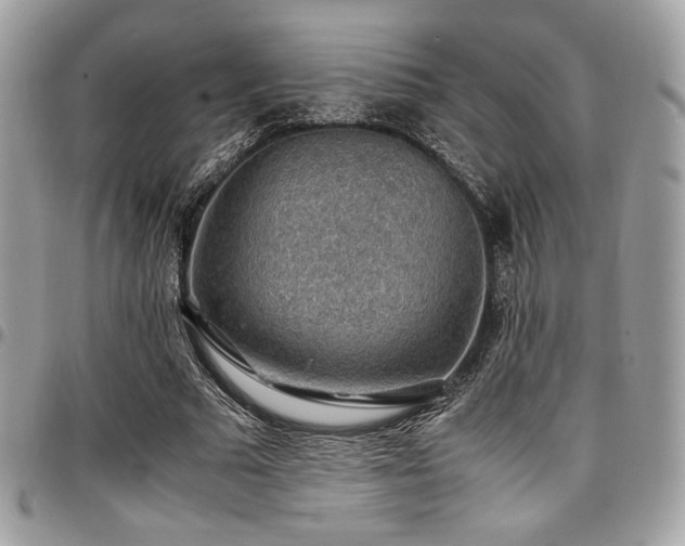X0000097300681200802151439