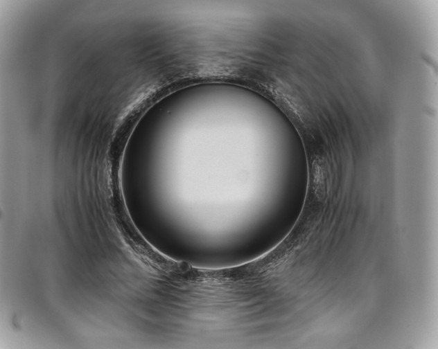 X0000097300684200802151439