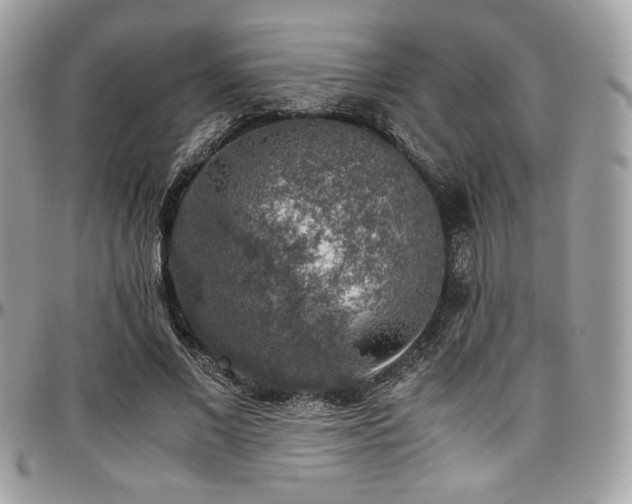 X0000097300685200802151439