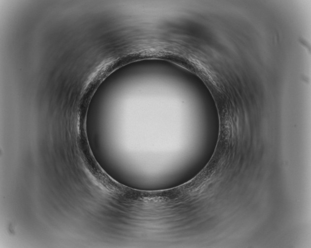 X0000097300686200802151439