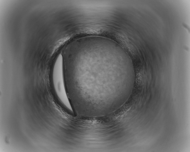 X0000097300688200802151439