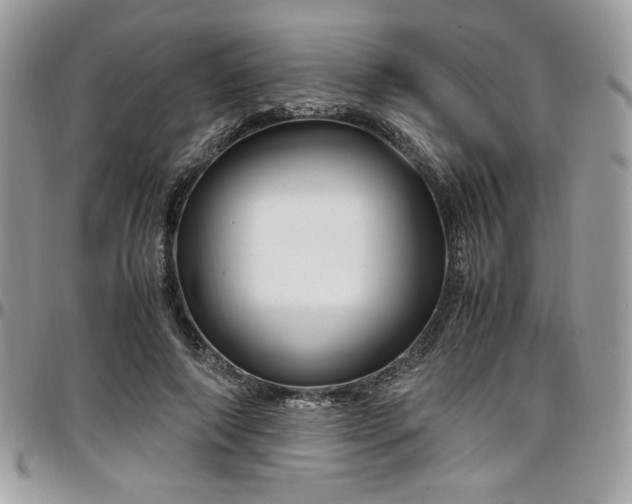 X0000097300690200802151439