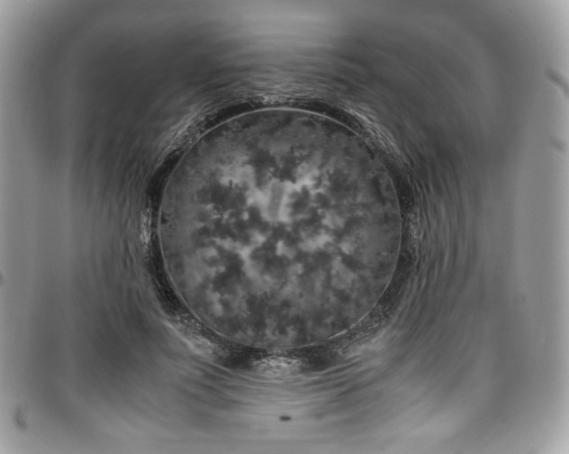 X0000097300691200802151439