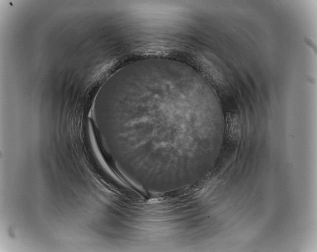 X0000097300692200802151439