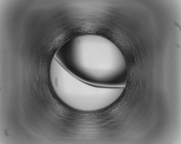X0000097300693200802151439