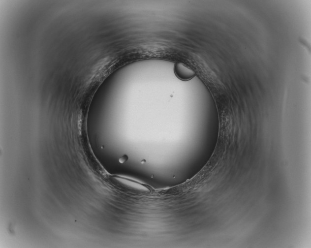X0000097300694200802151439
