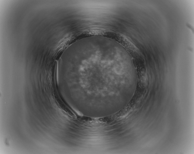 X0000097300696200802151439