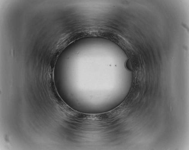 X0000097300702200802151438