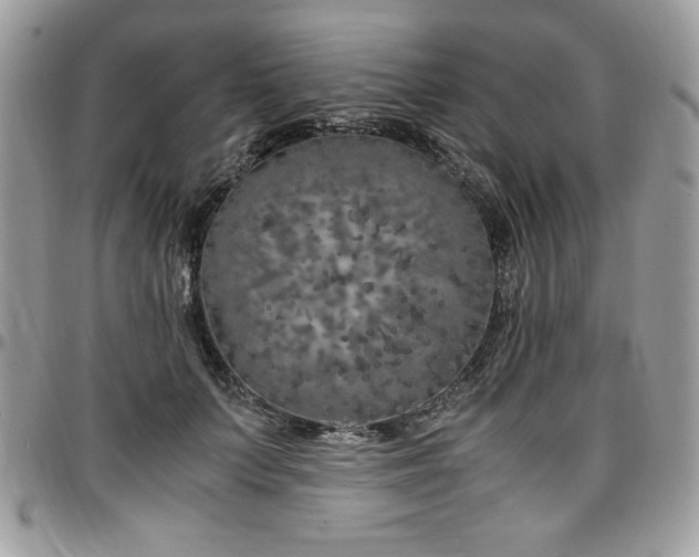 X0000097300703200802151438