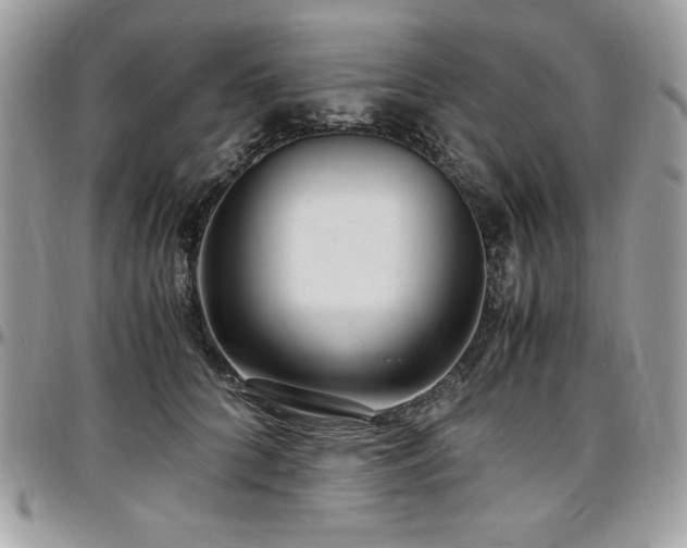 X0000097300704200802151438