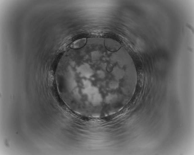 X0000097300707200802151438