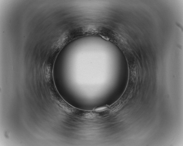 X0000097300708200802151438