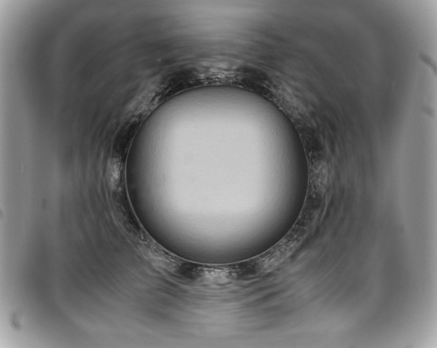 X0000097300709200802151438