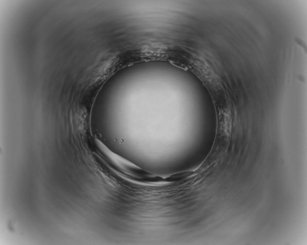 X0000097300712200802151438