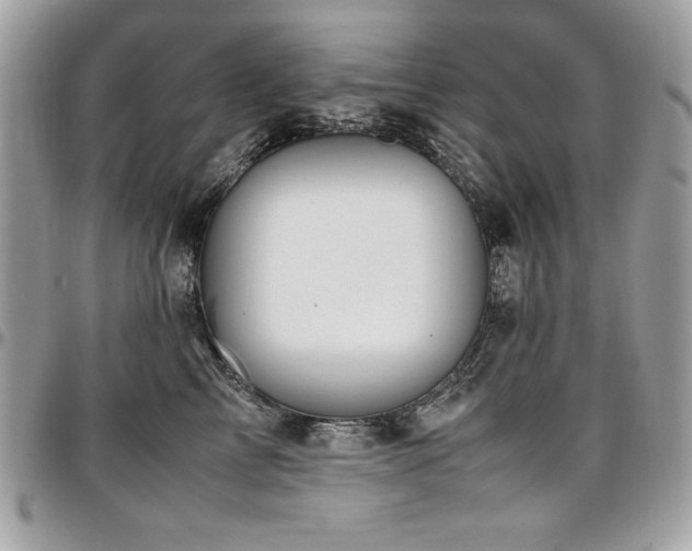 X0000097300713200802151438