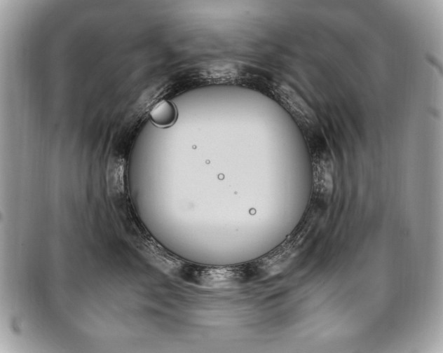 X0000097300717200802151438