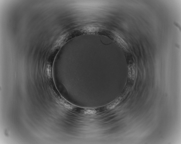 X0000097300718200802151438