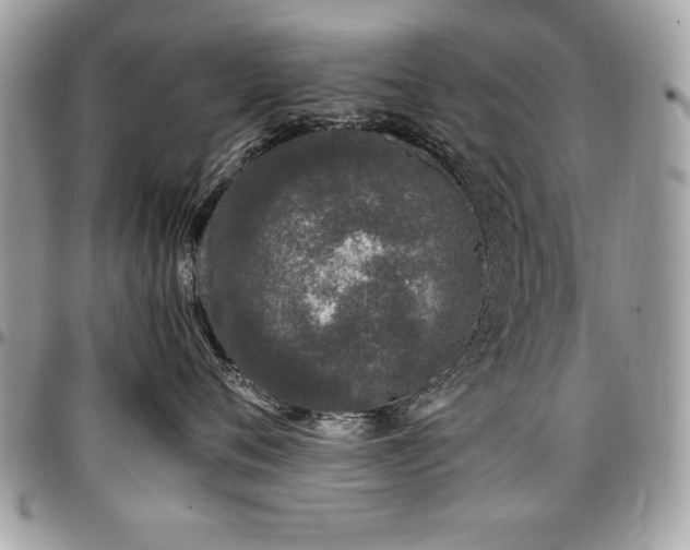 X0000097300720200802151438
