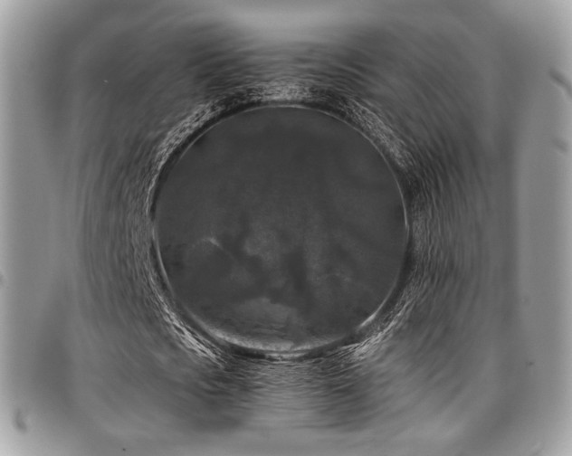X0000097300721200802151438