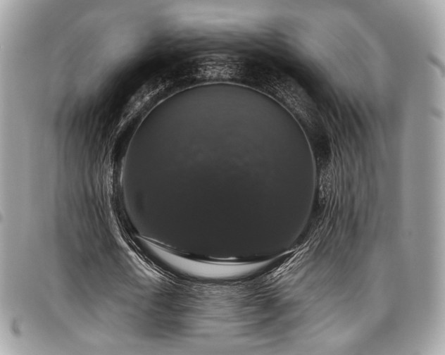 X0000097300722200802151438