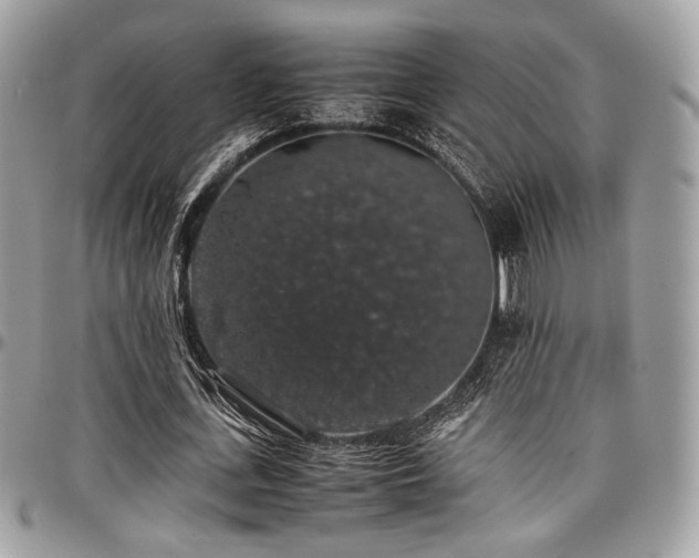 X0000097300723200802151438