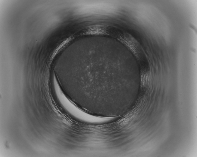 X0000097300724200802151438