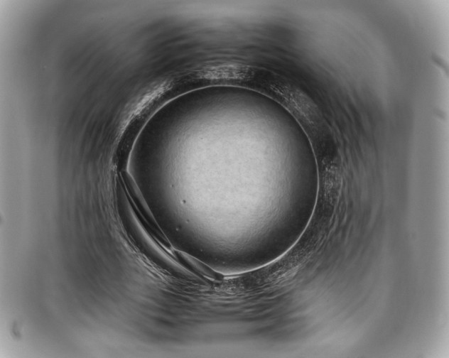 X0000097300727200802151438