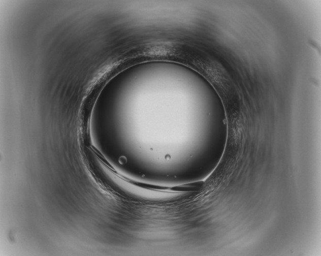 X0000097300728200802151438