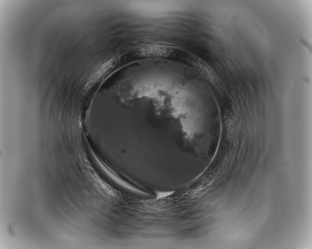 X0000097300729200802151438