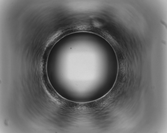 X0000097300730200802151438