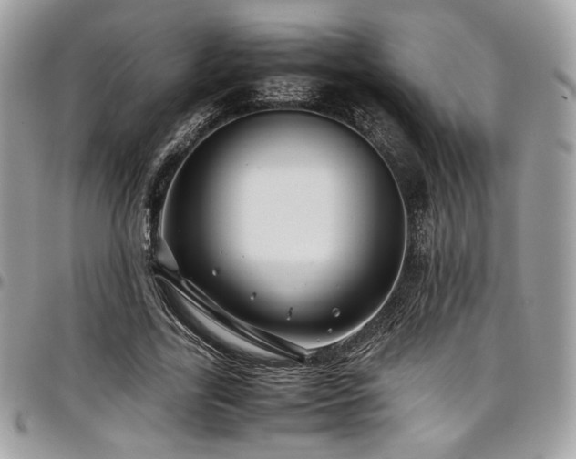 X0000097300731200802151438