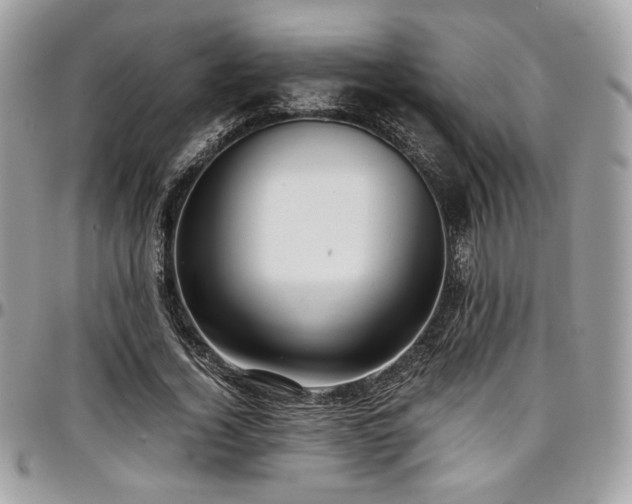 X0000097300732200802151438