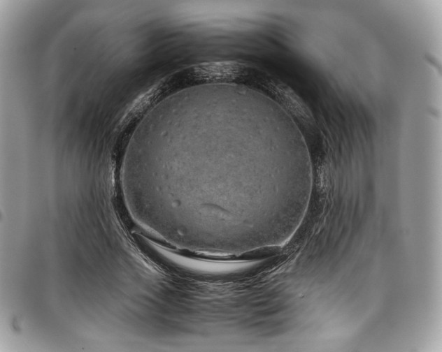 X0000097300733200802151438