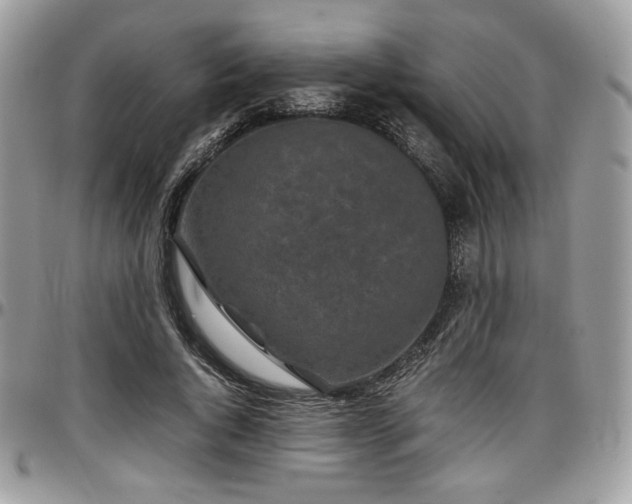 X0000097300736200802151438