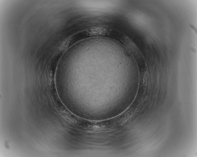 X0000097300737200802151438