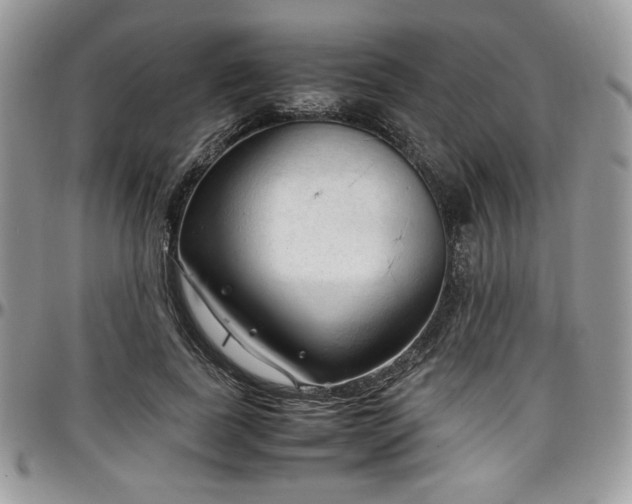 X0000097300739200802151438