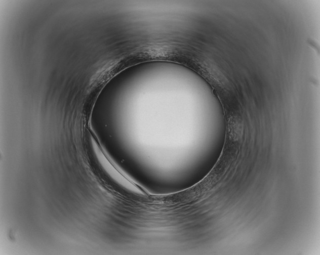 X0000097300740200802151438