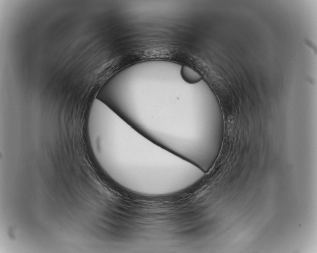 X0000097300741200802151438