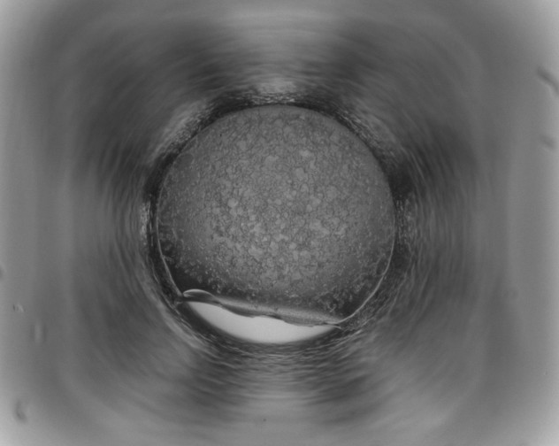 X0000097300742200802151438